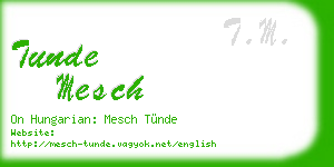tunde mesch business card